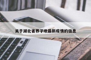 关于湖北省界子墩最新疫情的信息